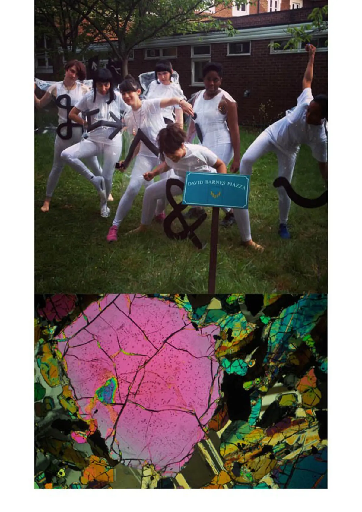 We are the Landscape